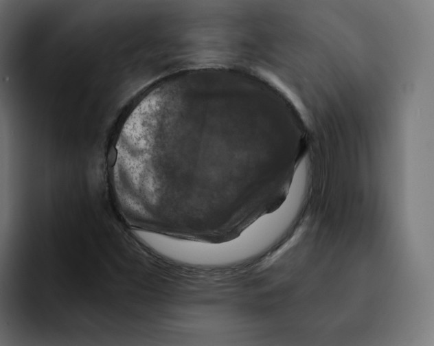 X0000092001453200710040959