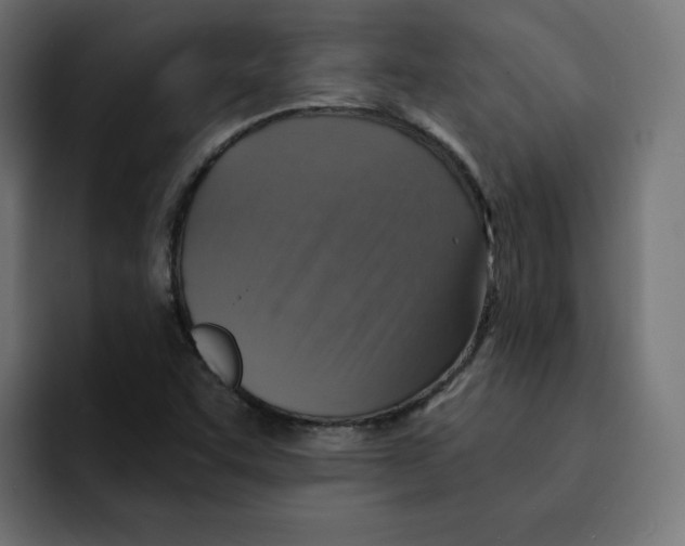 X0000092001455200710040959