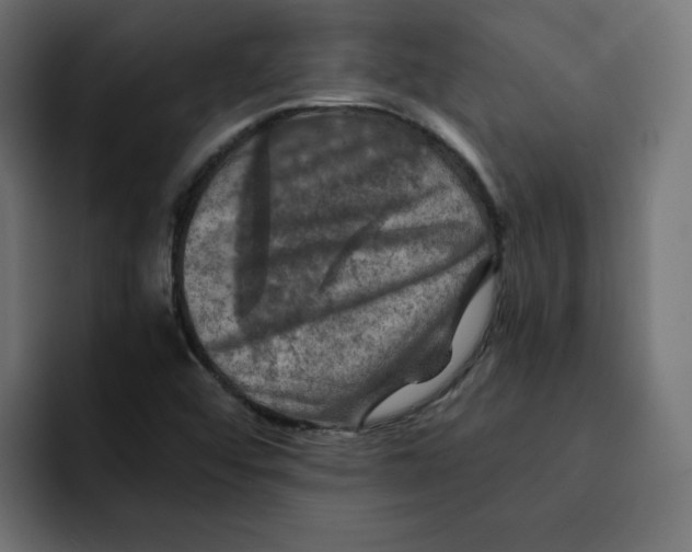 X0000092001456200710040959