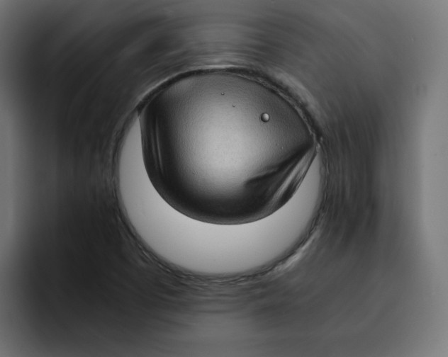 X0000092001457200710040959