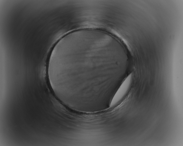 X0000092001459200710040959