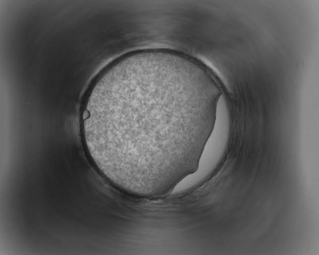 X0000092001460200710040959