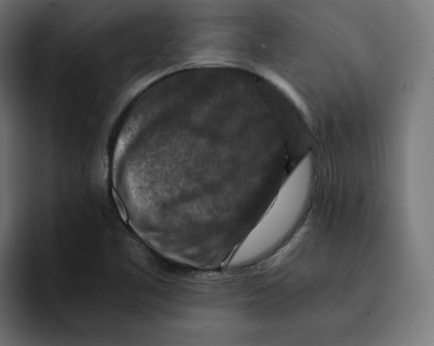 X0000092001461200710040959