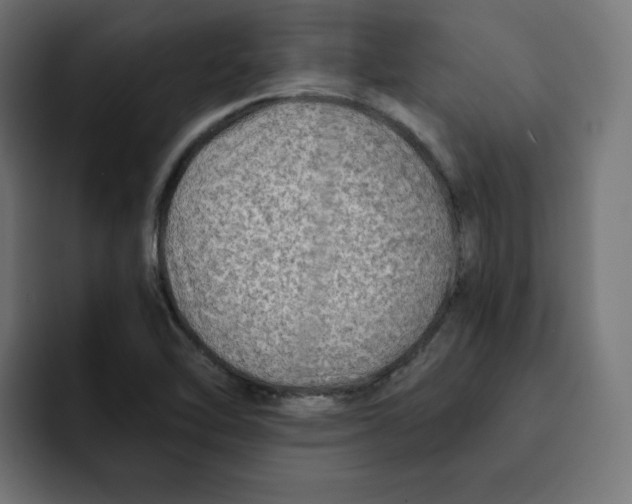 X0000092001462200710040959