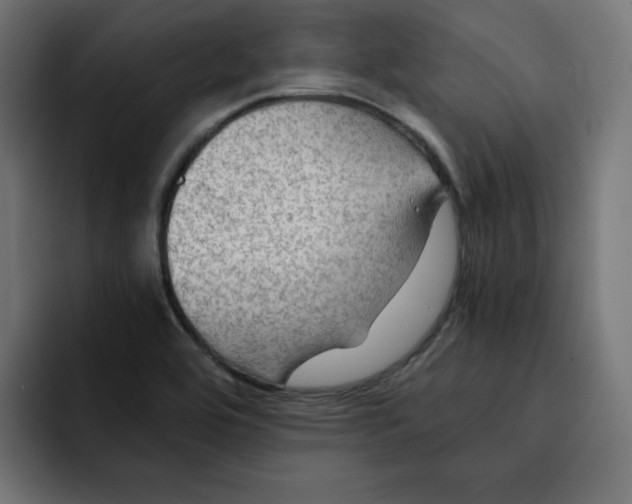 X0000092001464200710040959