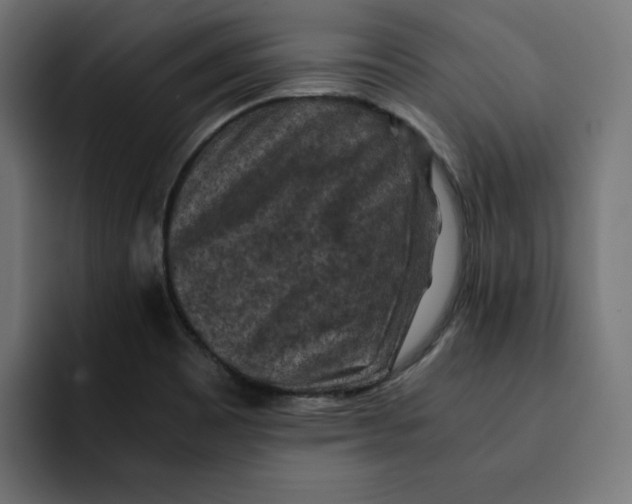 X0000092001465200710040959