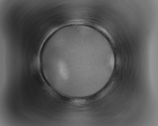 X0000092001466200710040959