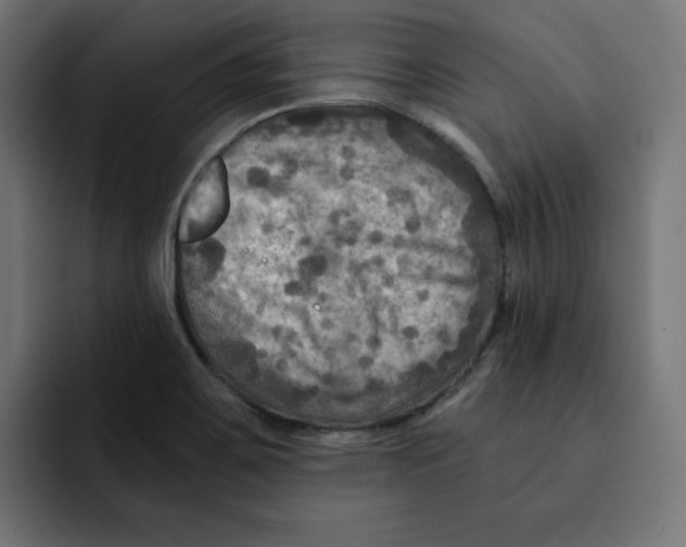 X0000092001467200710040959