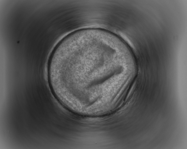 X0000092001468200710040959