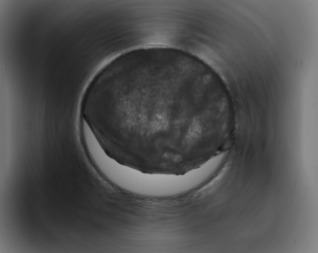 X0000092001469200710040959