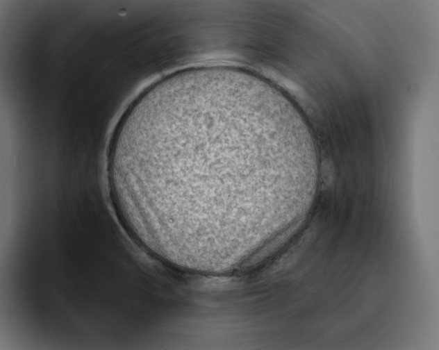 X0000092001470200710040959