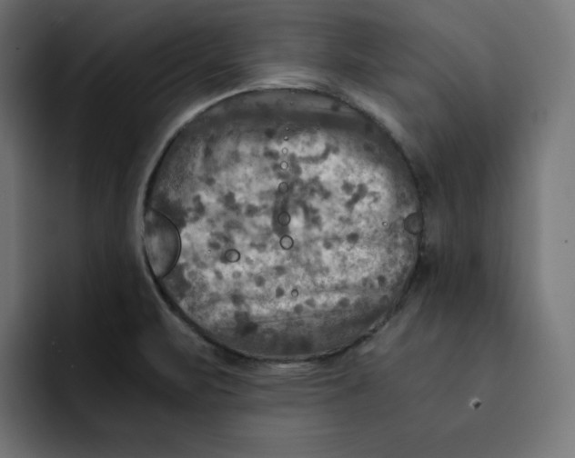 X0000092001471200710040959