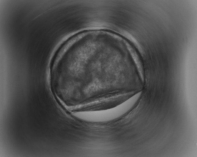 X0000092001472200710040959