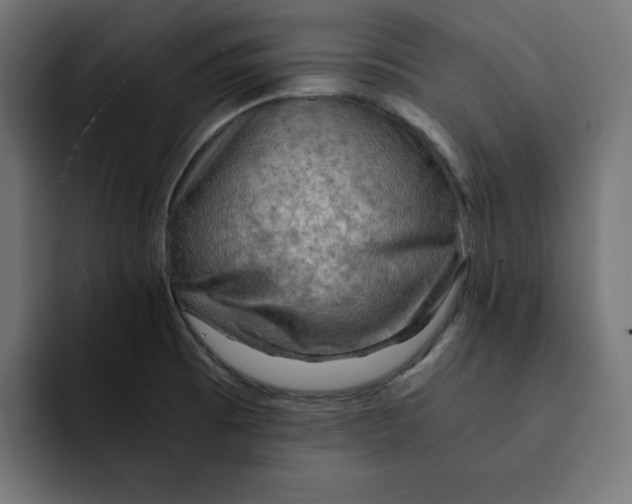 X0000092001473200710040959