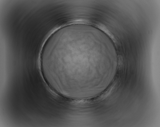 X0000092001474200710040959