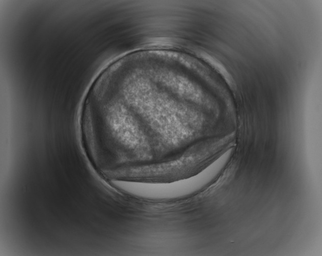 X0000092001475200710040959