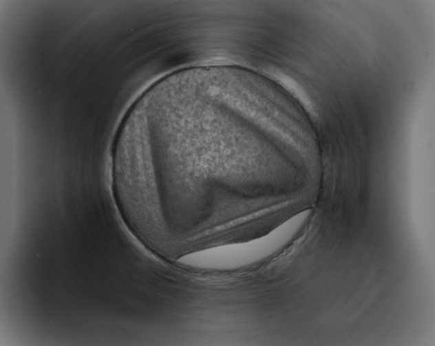 X0000092001476200710040959