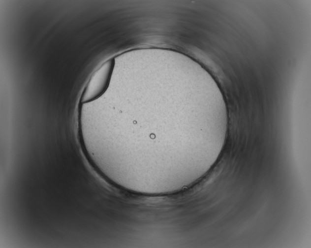 X0000092001479200710040959