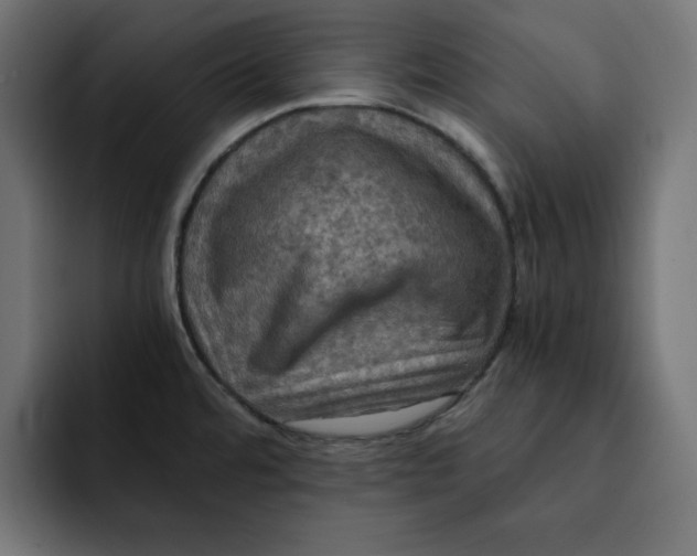 X0000092001480200710040959