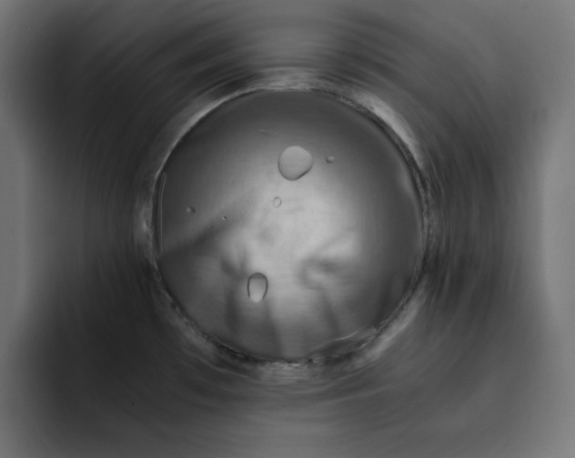 X0000092001481200710040959