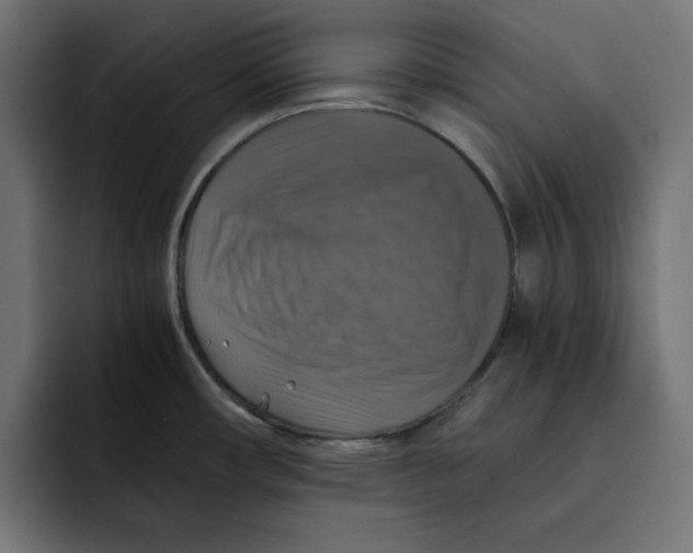 X0000092001482200710040958