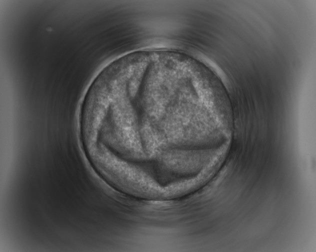 X0000092001483200710040958