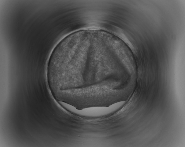 X0000092001484200710040958