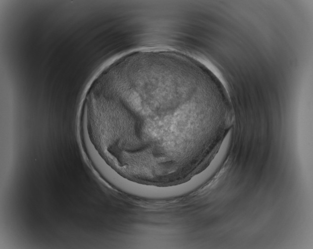 X0000092001485200710040958