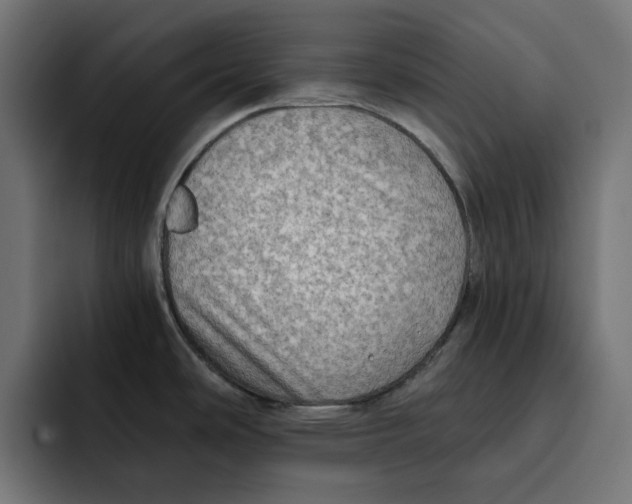 X0000092001486200710040958