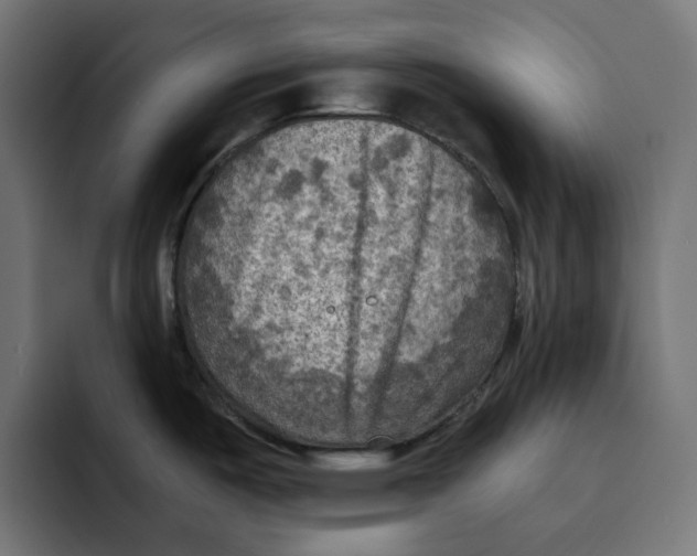 X0000092001487200710040958