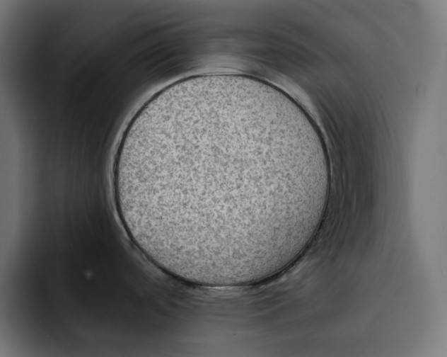 X0000092001488200710040958