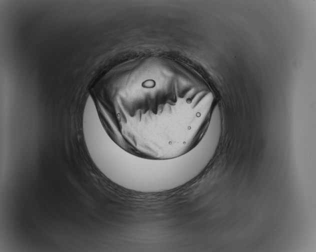 X0000092001492200710040958