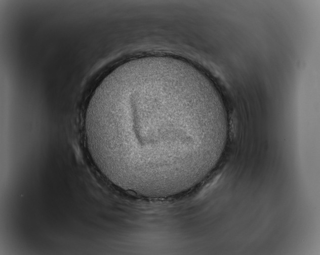 X0000092001494200710040958