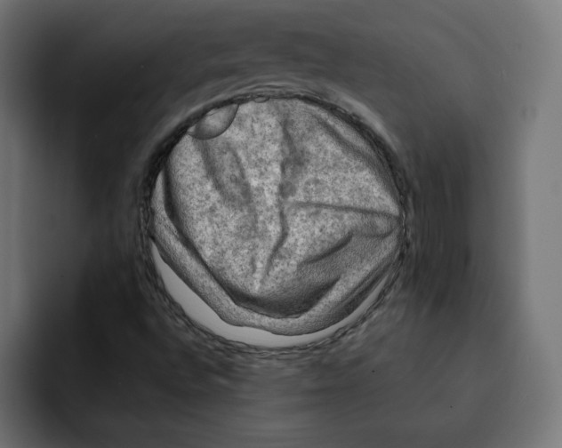 X0000092001496200710040958