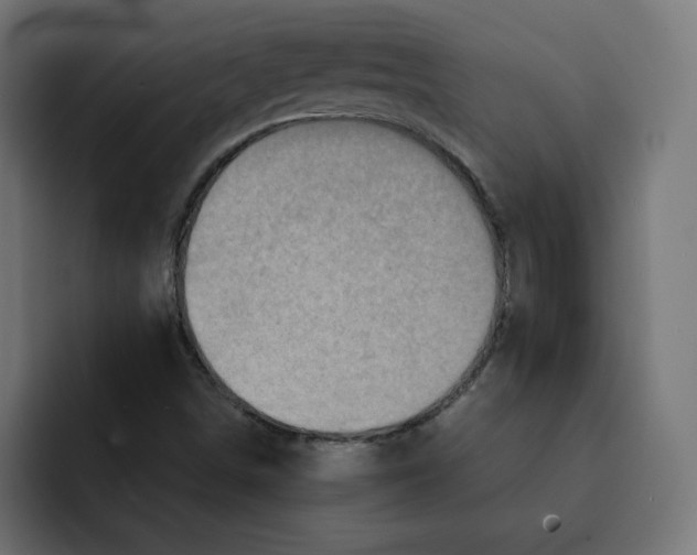 X0000092001498200710040958