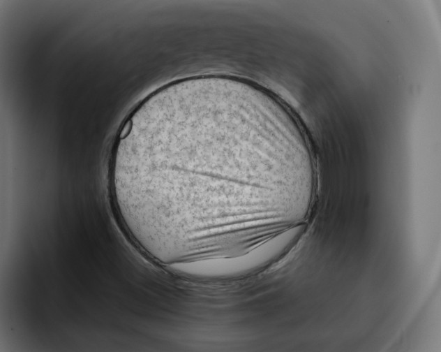 X0000092001500200710040958