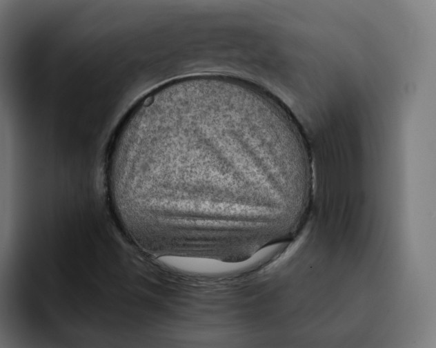 X0000092001501200710040958