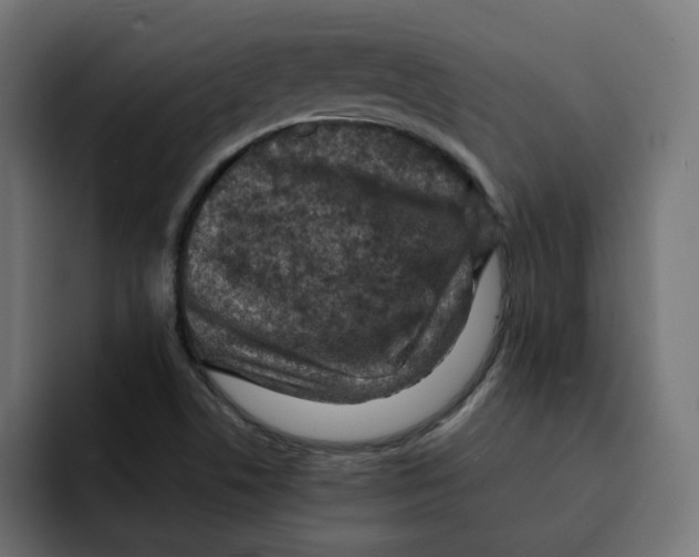 X0000092001506200710040958