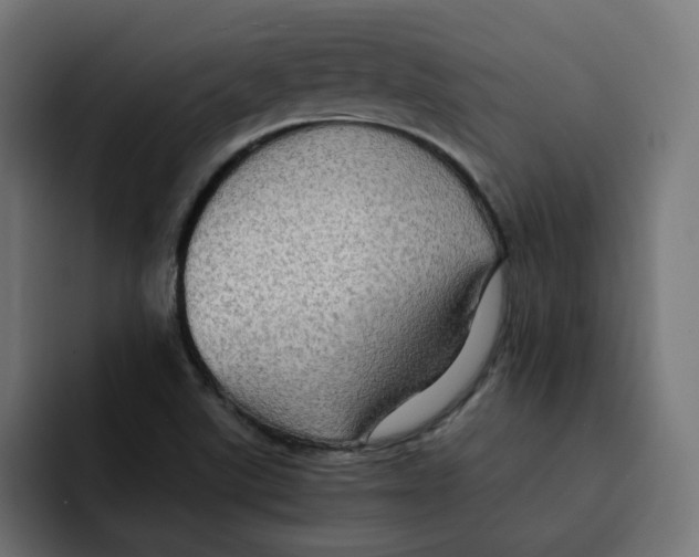 X0000092001507200710040958