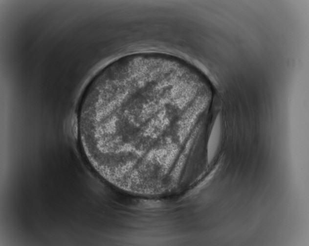 X0000092001509200710040958