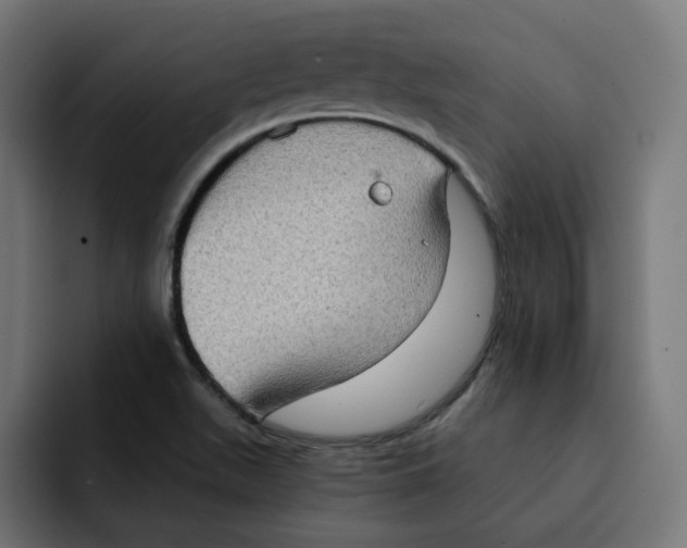 X0000092001511200710040958