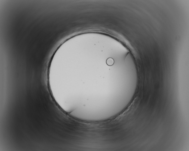 X0000092001512200710040958