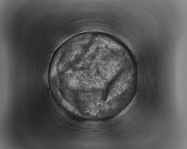 X0000092001513200710040958