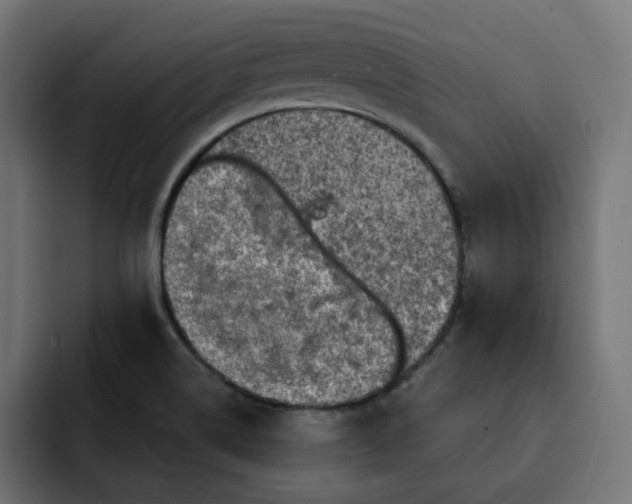 X0000092001514200710040958