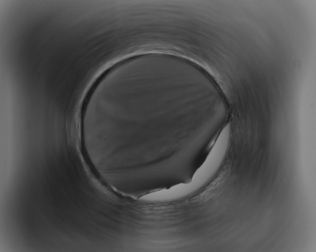 X0000092001515200710040958