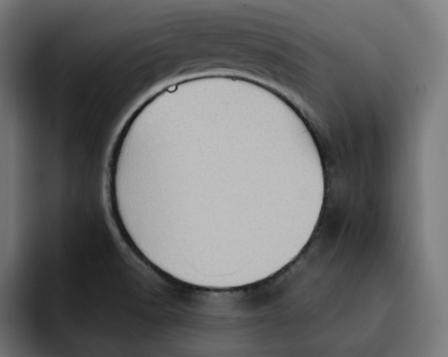 X0000092001518200710040958