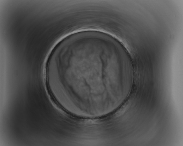 X0000092001519200710040958