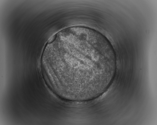 X0000092001521200710040958