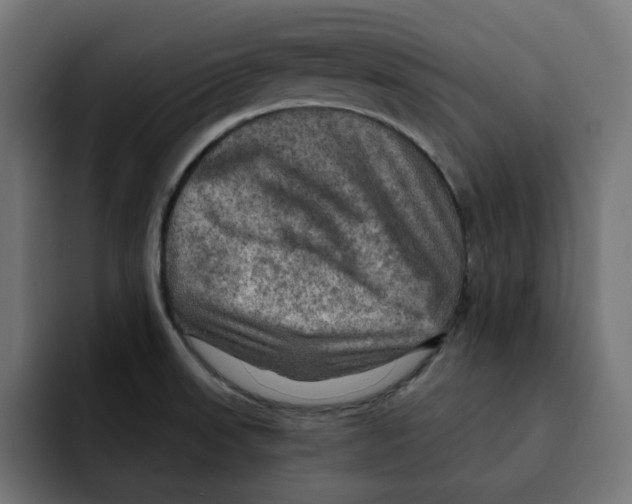 X0000092001523200710040958