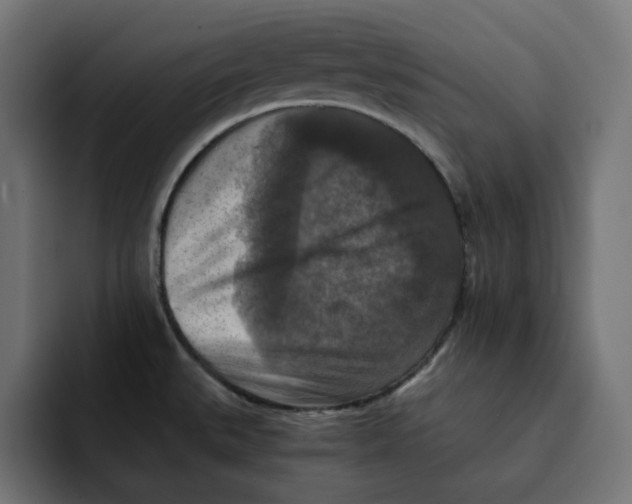 X0000092001527200710040958